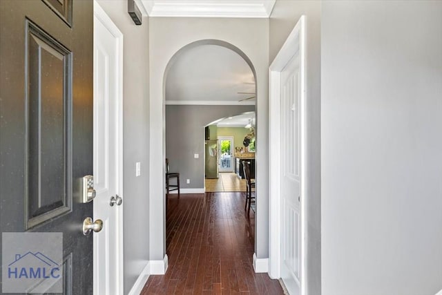 hall featuring dark wood-type flooring and ornamental molding