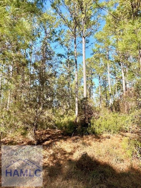 0 Marsh Way, Townsend GA, 31331 land for sale