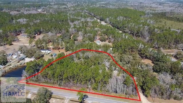 birds eye view of property with a view of trees