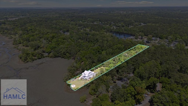 bird's eye view with a forest view