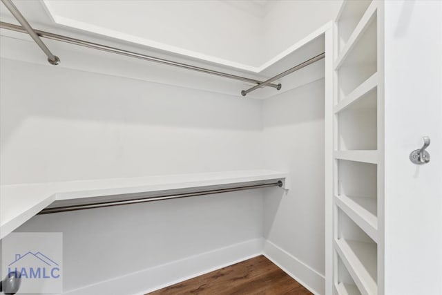 walk in closet with dark wood finished floors