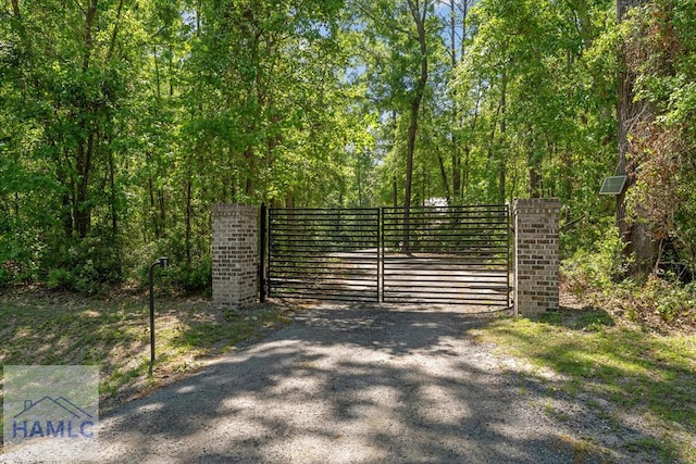 1018 Sweet Hill Rd, Richmond Hill, GA 31324 - view of gate