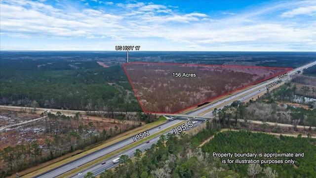 156AC US Highway 17, Townsend GA, 31331 land for sale