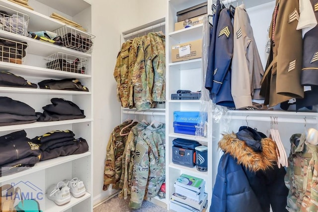 view of walk in closet