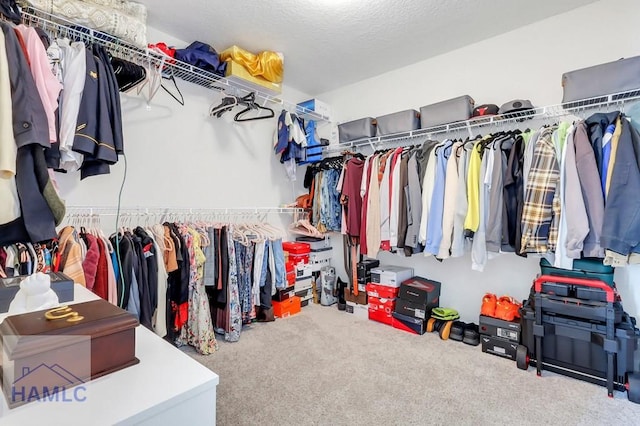 spacious closet featuring carpet flooring