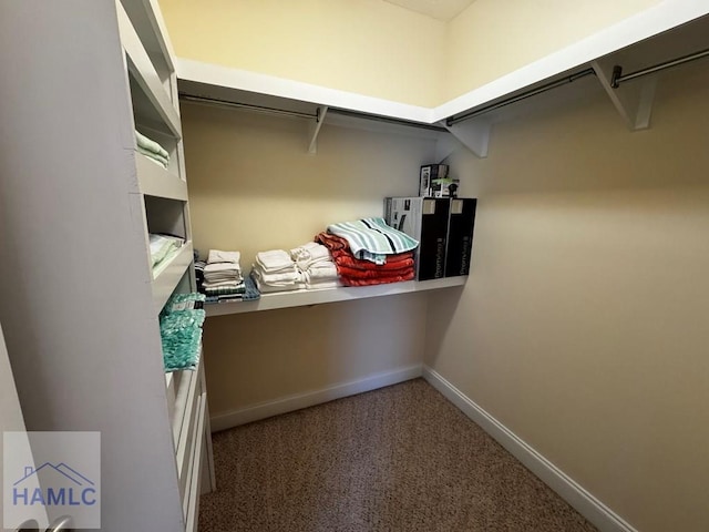 spacious closet featuring carpet flooring