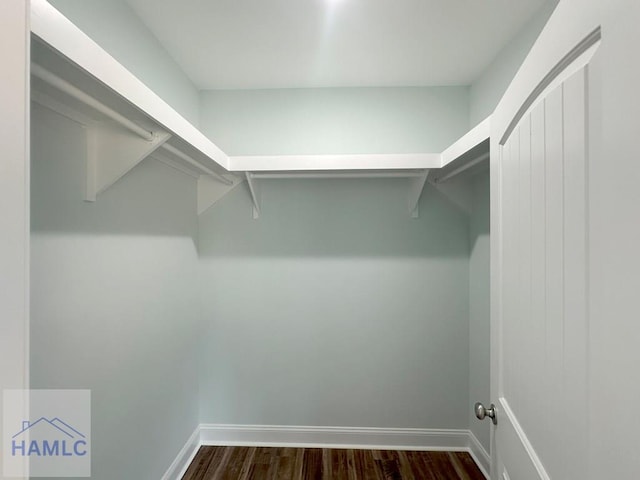 walk in closet with dark wood-type flooring