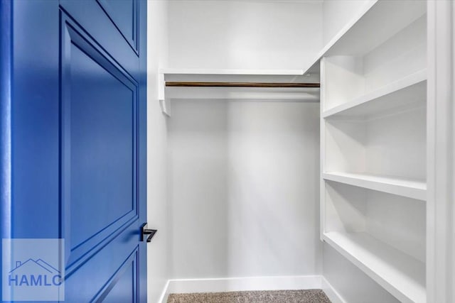 walk in closet with carpet floors