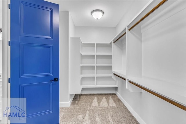 walk in closet featuring carpet