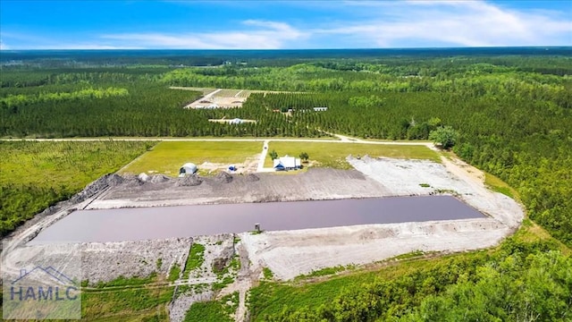 bird's eye view of a forest