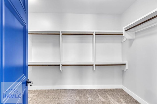 walk in closet with carpet flooring