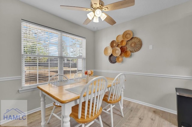 dining space featuring plenty of natural light, ceiling fan, and light wood-type flooring