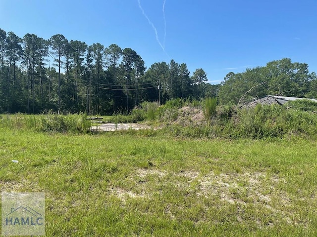 1ACLOT Linden Bluff Rd, Jesup, GA 31545