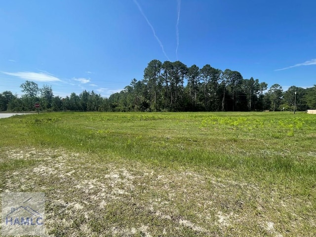 1ACLOT Linden Bluff Rd, Jesup, GA 31545