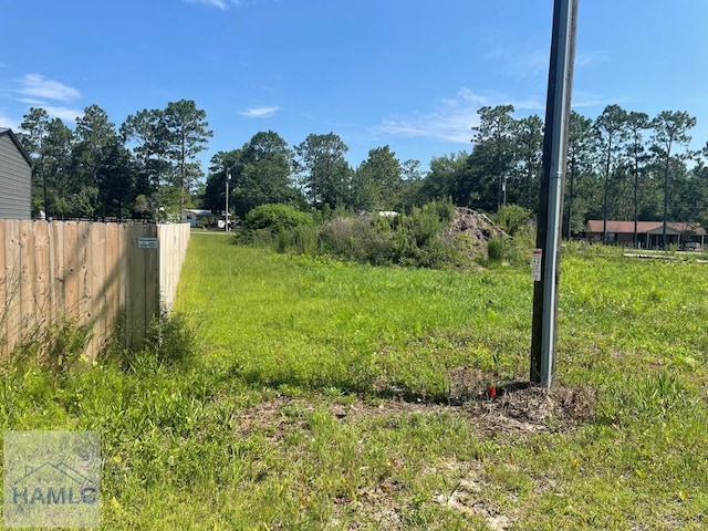 1ACLOT Linden Bluff Rd, Jesup, GA 31545