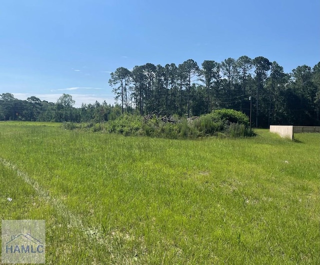 1ACLOT Linden Bluff Rd, Jesup, GA 31545
