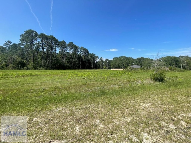 1ACLOT Linden Bluff Rd, Jesup, GA 31545