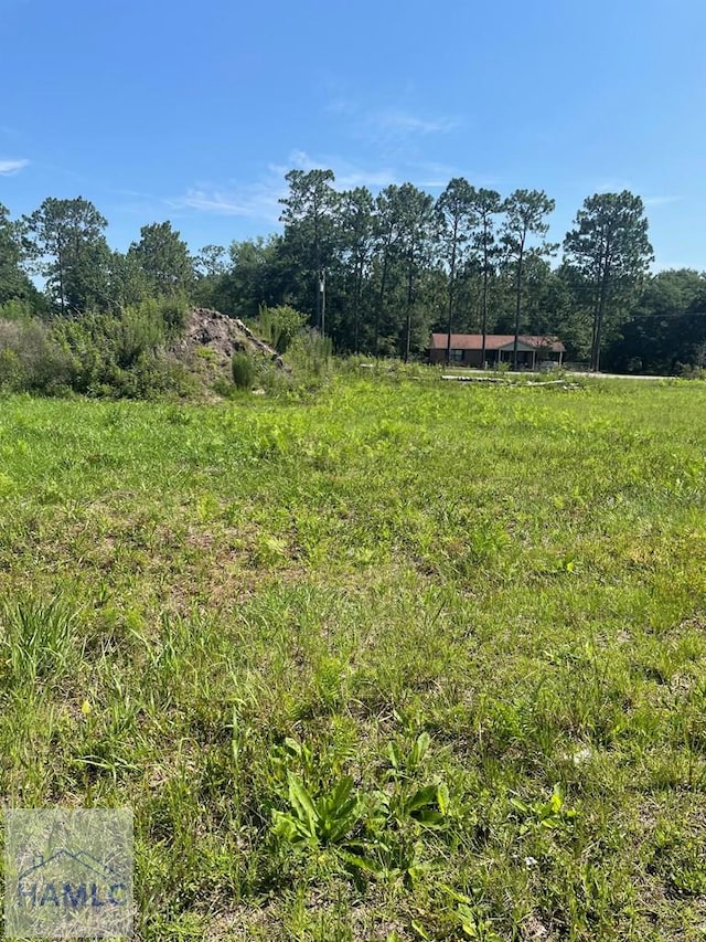 1ACLOT Linden Bluff Rd, Jesup, GA 31545