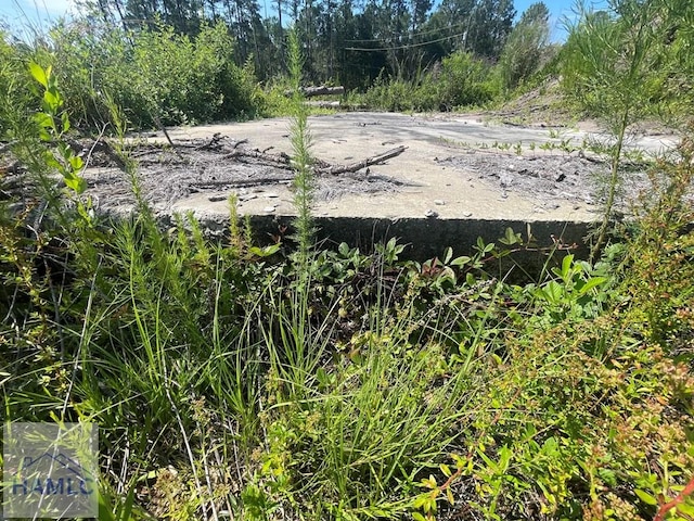 1ACLOT Linden Bluff Rd, Jesup, GA 31545