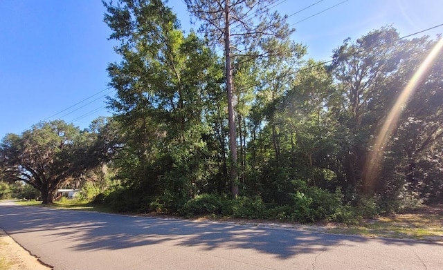 0 Griffin Rd, Walthourville GA, 31333 land for sale