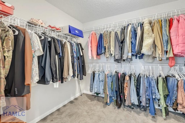 walk in closet with carpet flooring