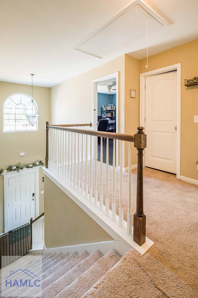 staircase with carpet floors