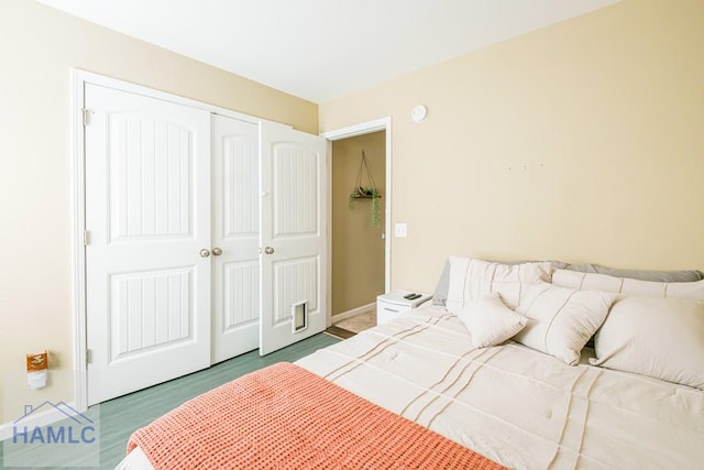 bedroom featuring a closet and wood-type flooring