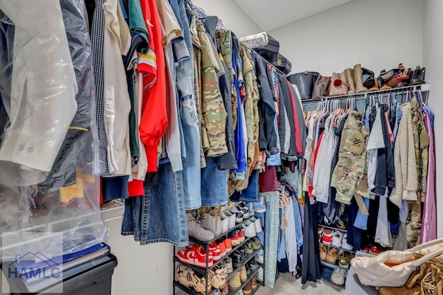 view of spacious closet