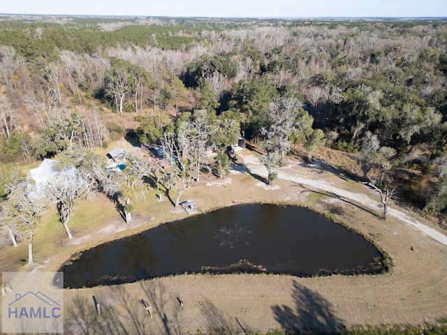 birds eye view of property with a forest view and a water view