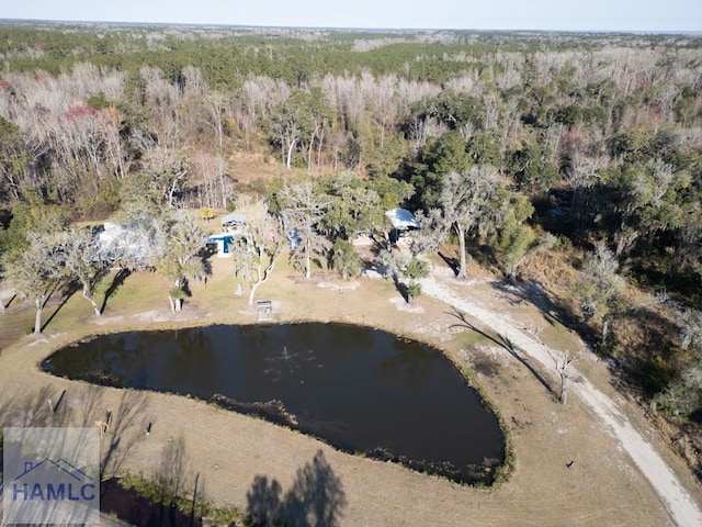 drone / aerial view featuring a forest view and a water view