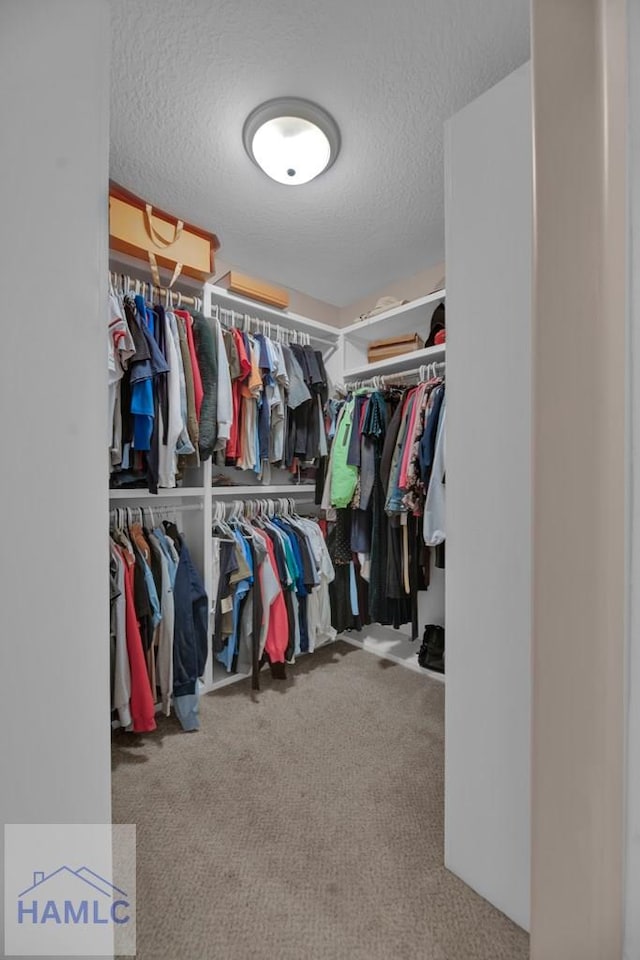 walk in closet with carpet flooring