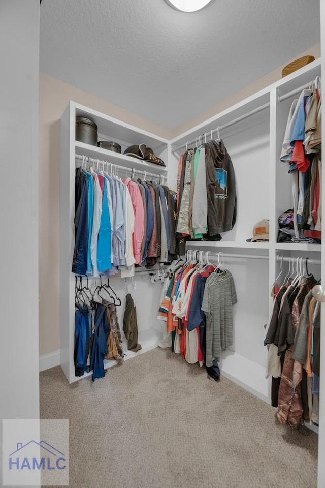 spacious closet featuring carpet flooring