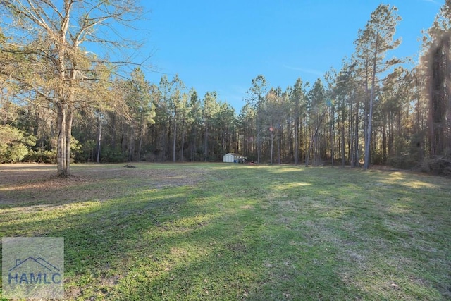 view of yard with a storage unit