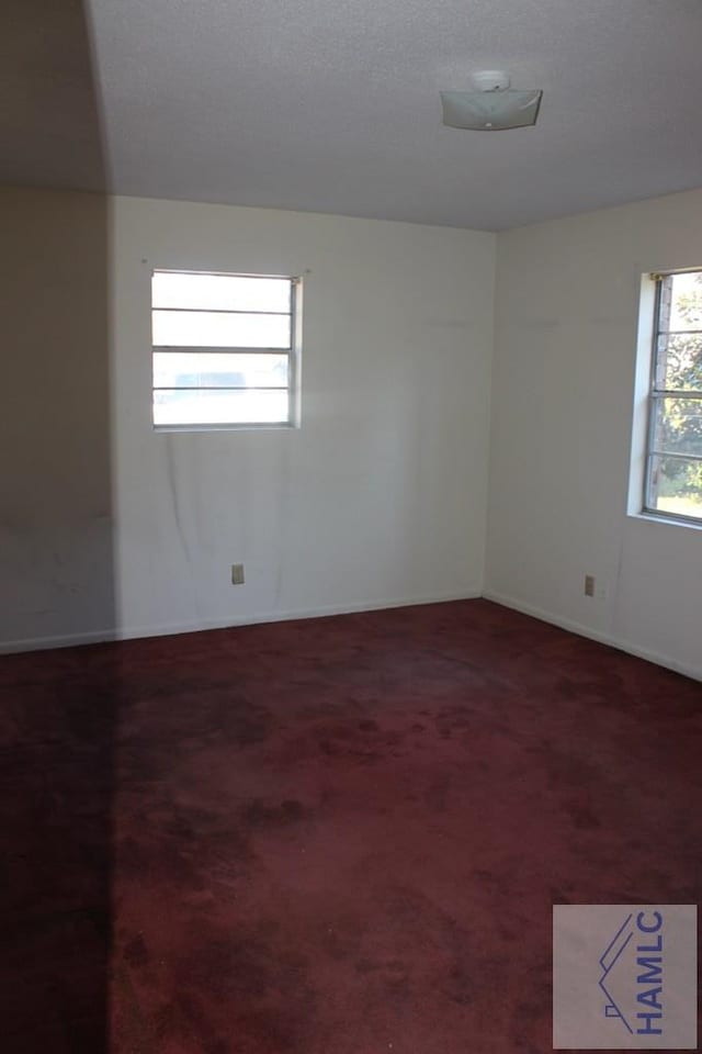 empty room featuring carpet floors and plenty of natural light