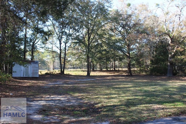 view of yard featuring a shed