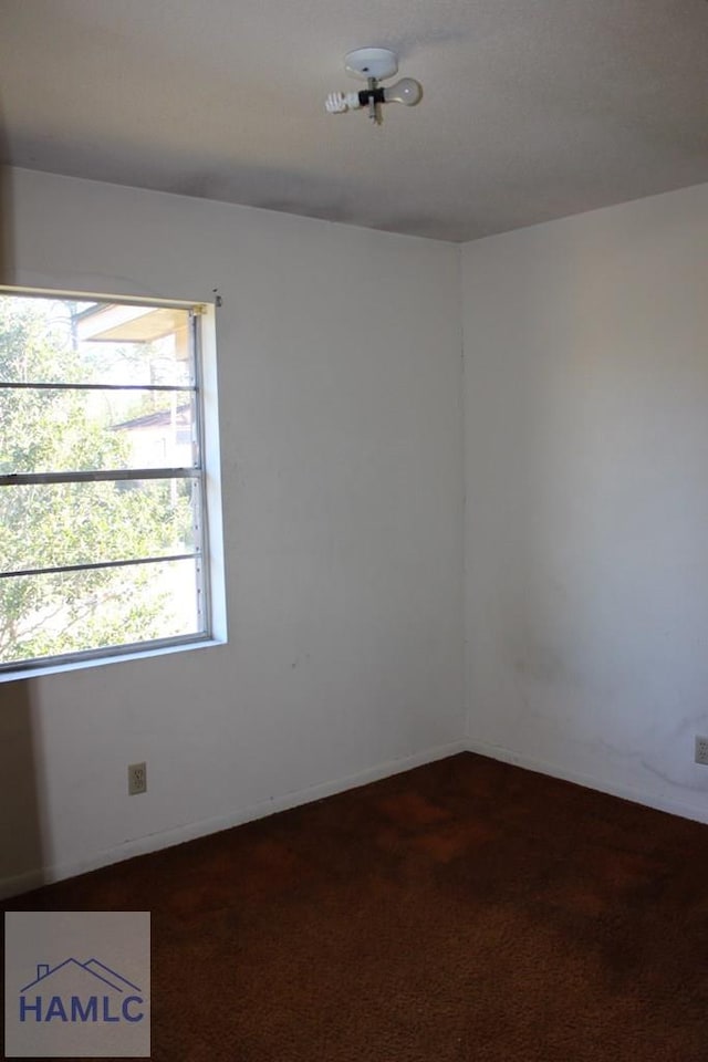 empty room featuring carpet flooring