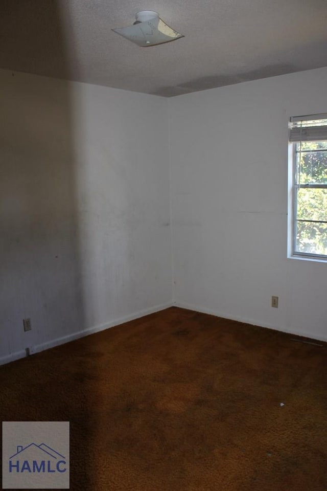 empty room featuring carpet floors