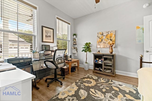 office area featuring ceiling fan and hardwood / wood-style floors