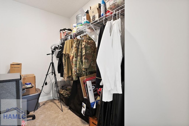 1201 Grayson Ave, Hinesville, GA 31313 - walk in closet with carpet