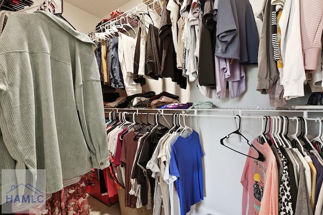 1201 Grayson Ave, Hinesville, GA 31313 - view of spacious closet