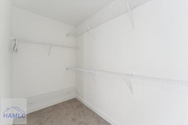 spacious closet featuring light colored carpet