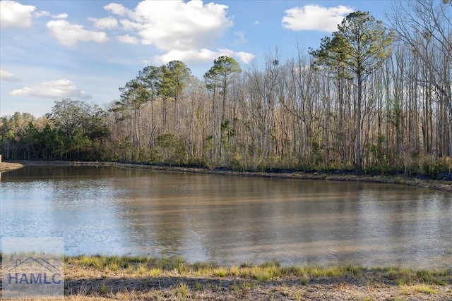 property view of water featuring a view of trees