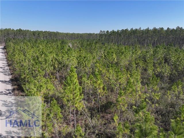 TRACT6 Bennett Mill Pond Rd, Odum, GA 31555 - photo 1