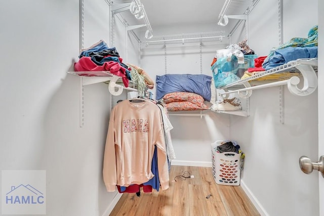 spacious closet featuring wood-type flooring