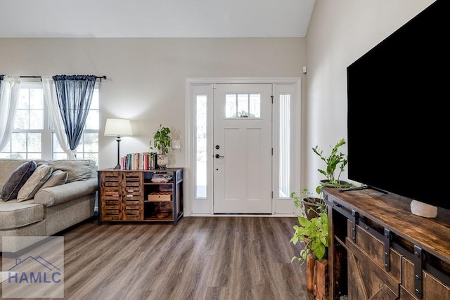 entryway featuring wood finished floors