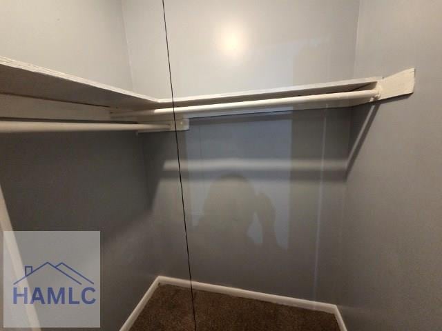 158 Sequoia Cir, Hinesville, GA 31313 - walk in closet featuring carpet