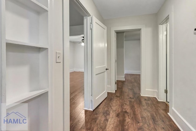 hallway featuring dark wood-type flooring