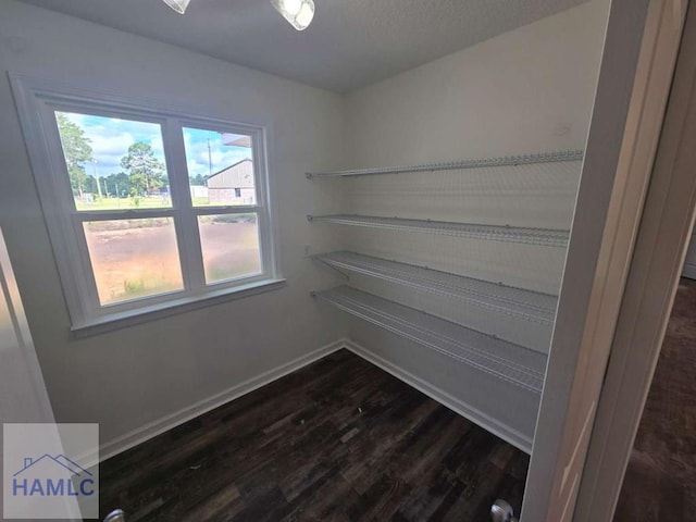 19 Cardinal Ln, Jesup, GA 31545 - view of pantry