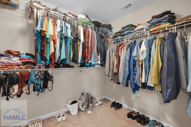 23 Veranda Trl, Midway, GA 31320 - walk in closet with carpet