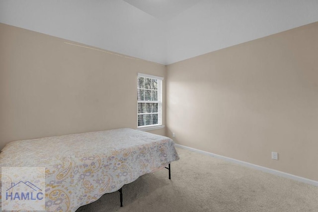 23 Veranda Trl, Midway, GA 31320 - bedroom with carpet flooring and baseboards